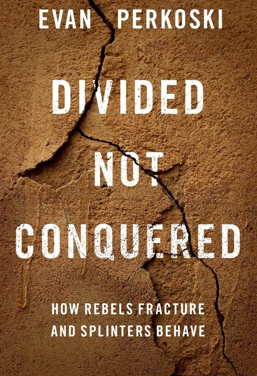 Divided Not Conquered, book cover